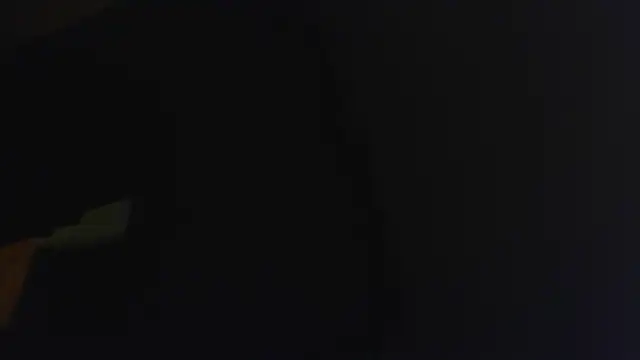 Webkamerová show joypastr