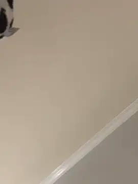 milajettxn Webbikameraesitys