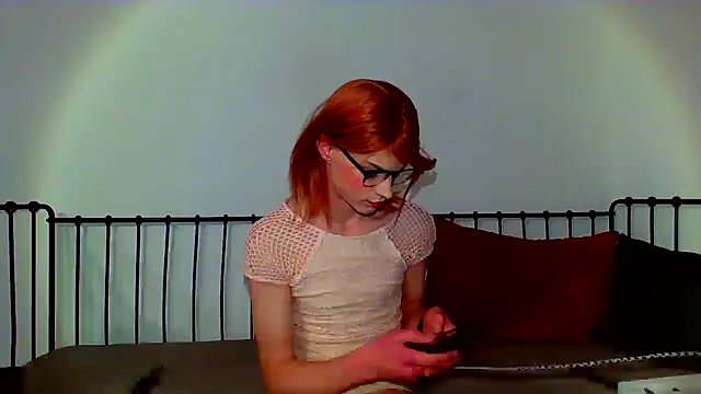 Liv-22n Webbikameraesitys