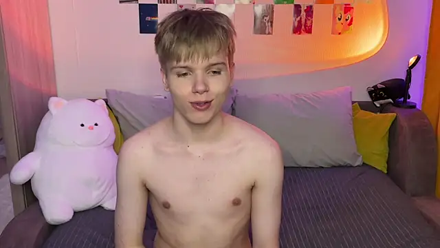 metarion Webcam-Show