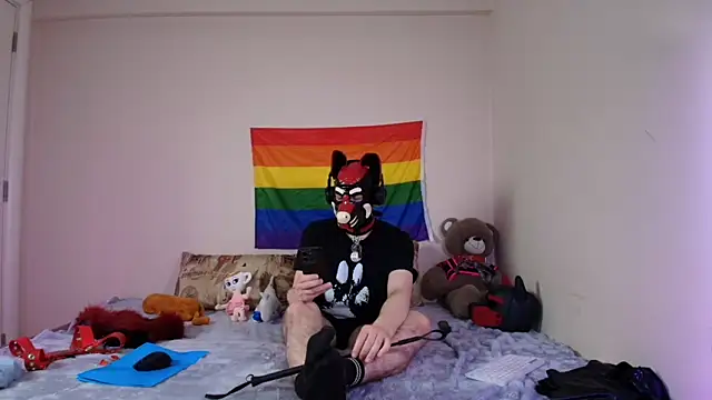 Pertunjukan Kamera Web K9_GoodBoy