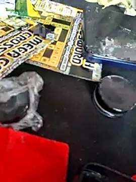 Show webcam de stressrliver88