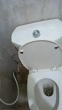 Stallionbull37 Webcam Show