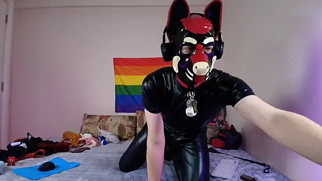 Pertunjukan Kamera Web K9_GoodBoy