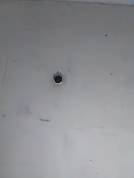 Show Webcam de cobrosdepagos