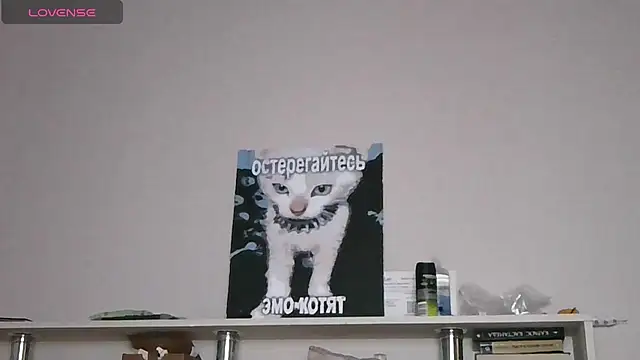 Show Webcam de Ernest_ice