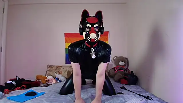 K9_GoodBoy webkamerás műsora