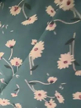 LanaSoftt 现场XXX聊天