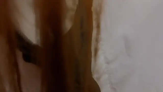 LauraHansil 现场XXX聊天