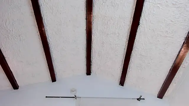 Chat XXX en directo de EloiseClairmont