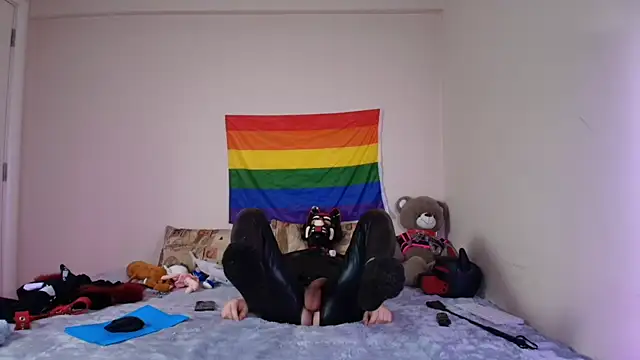 Pertunjukan Kamera Web K9_GoodBoy