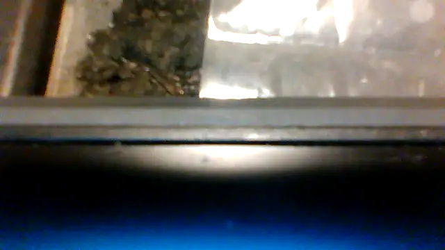 Show webcam de fukurbutt