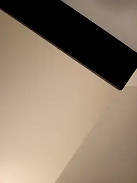 Show webcam de Guitccch