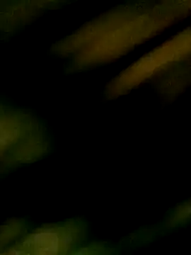 Apeesynka55211 Webcam-Show