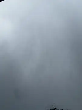 odbodu's Live XXX Chat