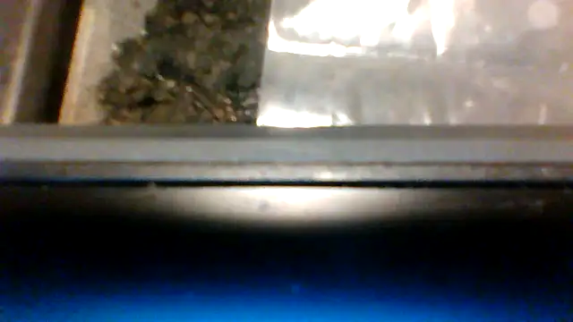 fukurbutt Chat XXX live