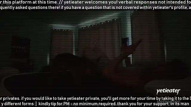 Show webcam de yetieater