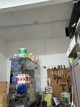 Paul22cm- webkamerás műsora