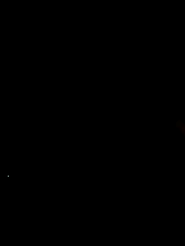 CattingSamplen Webbikameraesitys