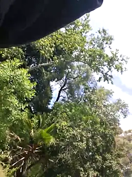 Živý XXX chat 415cali925