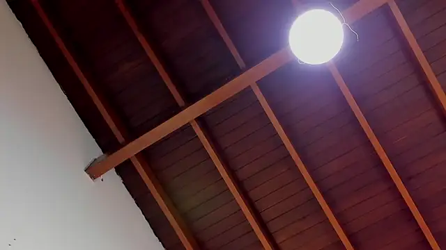 EmilySearss – Live XXX-chat