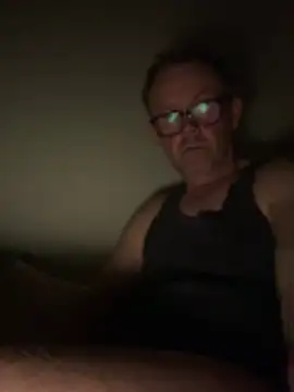 Show Webcam de ledenjak