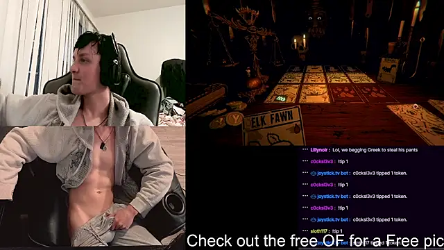 Show webcam de SkrogDog