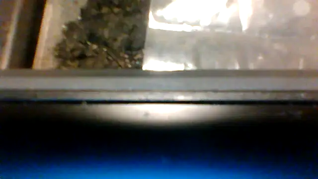 fukurbutt – Live XXX-chat