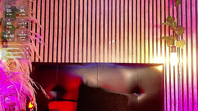 Hiddenhotcakeのウェブカメラショー