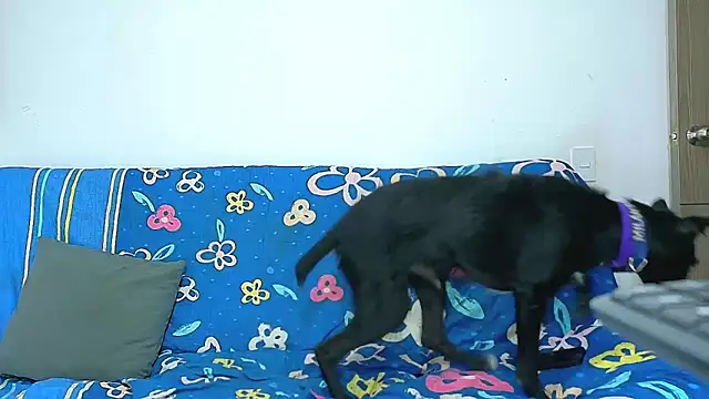 Party_Straight Live XXX-chat