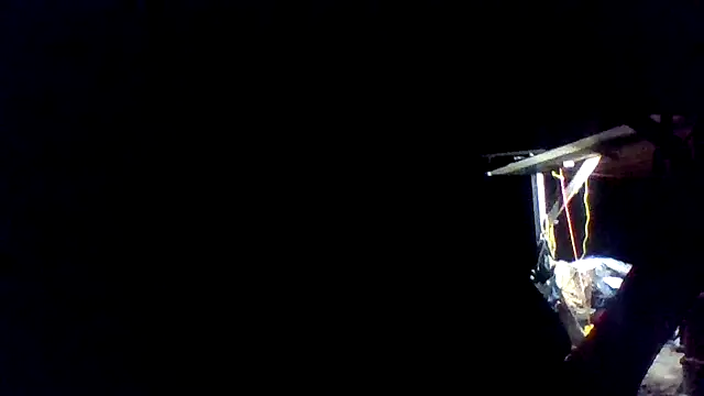 dickencidr élő XXX-chatje