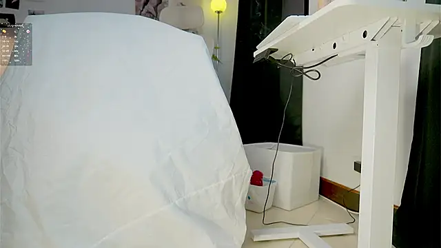 Show Webcam de boream