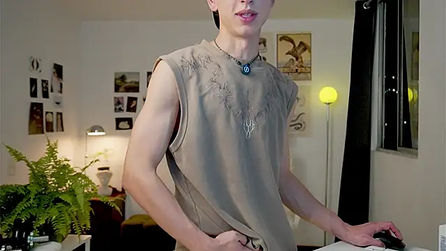 عرض كام boream