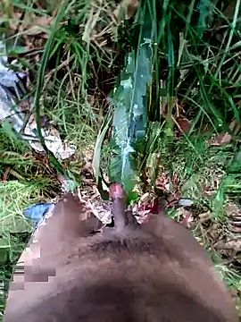 maxvergo's Webcam Show