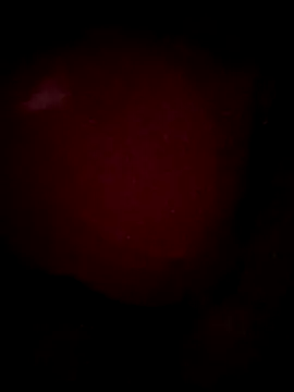 Show modela Mancho2289 na web-kameri