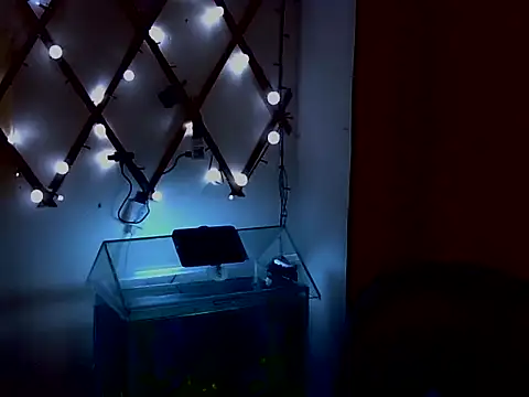 venusfranco_94 – Live XXX-chat