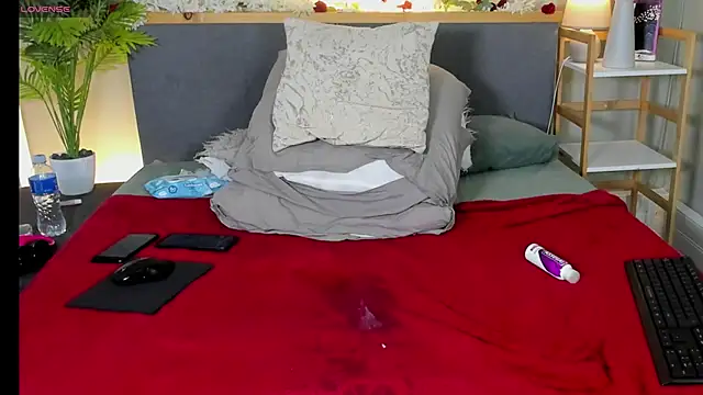 HotStellaaa 现场XXX聊天