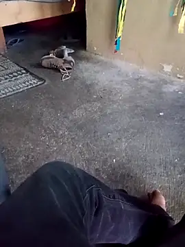 125Delfin90 Webcamshow