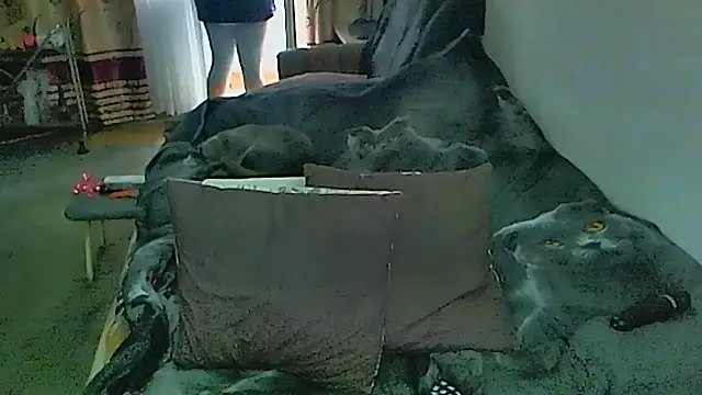 sex2's Live XXX Chat