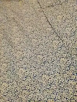 DauntedHumulin's Webcam Show