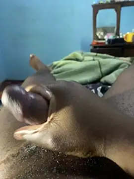 YourfavDick04 웹캠 쇼