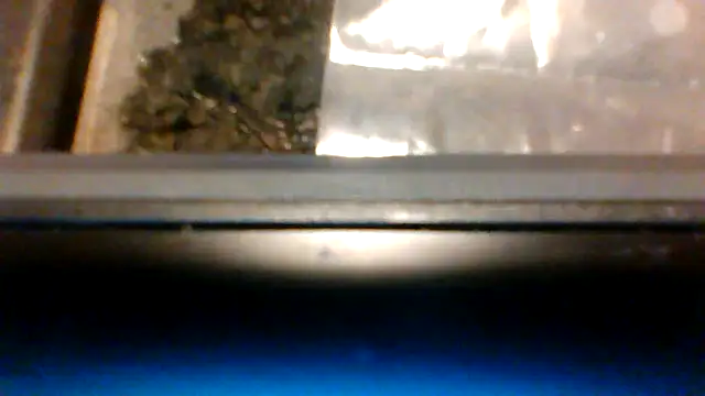 Chat +18 de fukurbutt ao vivo