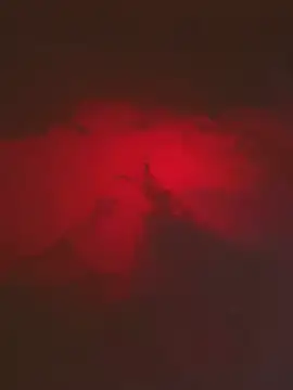 alisaa_jhons1 웹캠 쇼