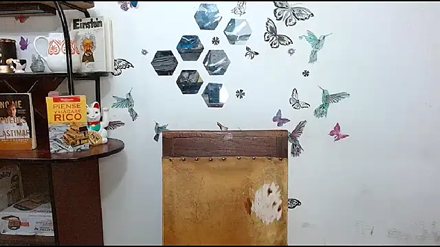 Chat +18 de LauraMallioni ao vivo