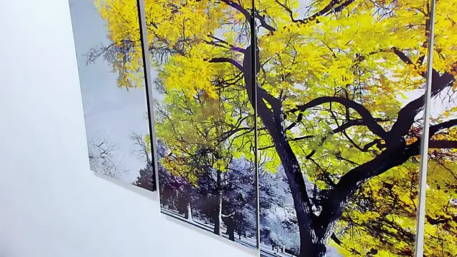 Stefy_cg Chat XXX live