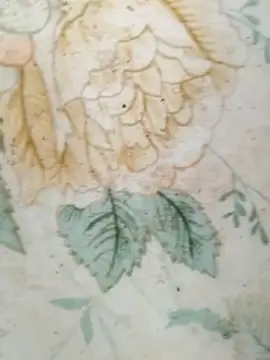 haryanaboypanipat12 Show Webcam