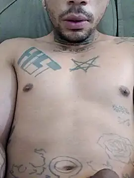 Blee66n Webbikameraesitys