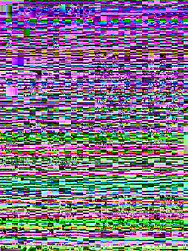 Romaninhon Webbikameraesitys