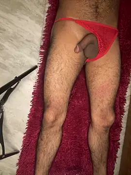 IndoAlpha Show Webcam