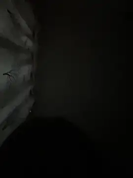 Sembang XXX Secara Langsung SydneySweeny69